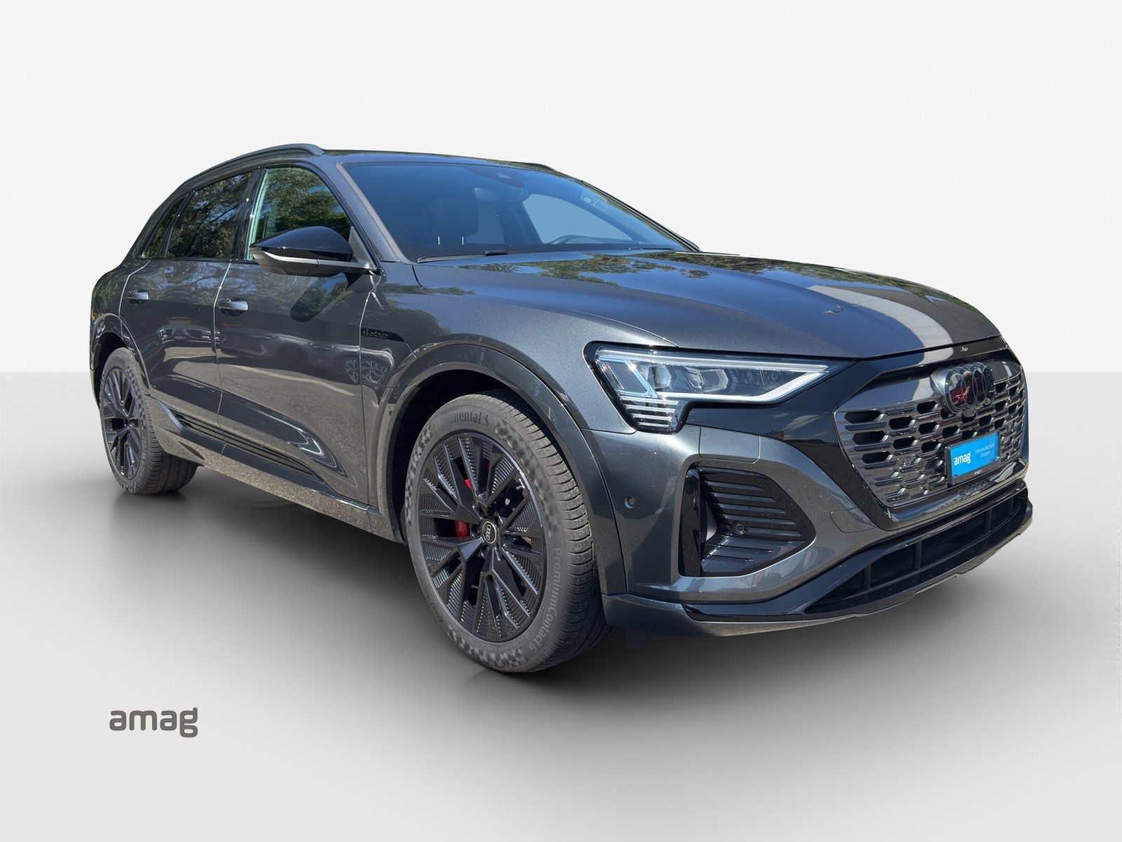 AUDI Q8 50 e-tron Black Edition, Elektro, Occasion / Gebraucht, Automatik - 6