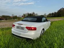 AUDI Cabriolet, Petrol, Second hand / Used, Automatic - 3