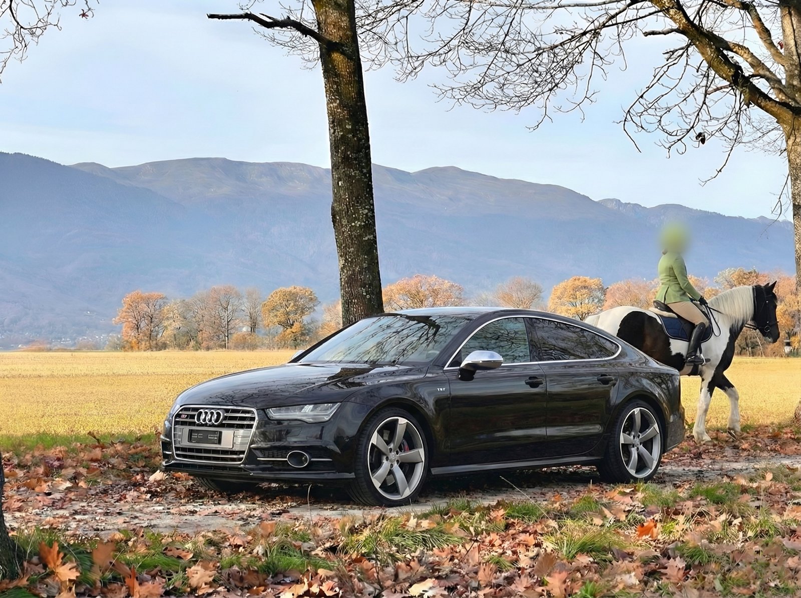AUDI S7 Sportback 4.0 TFSI V8 quattro S-tronic