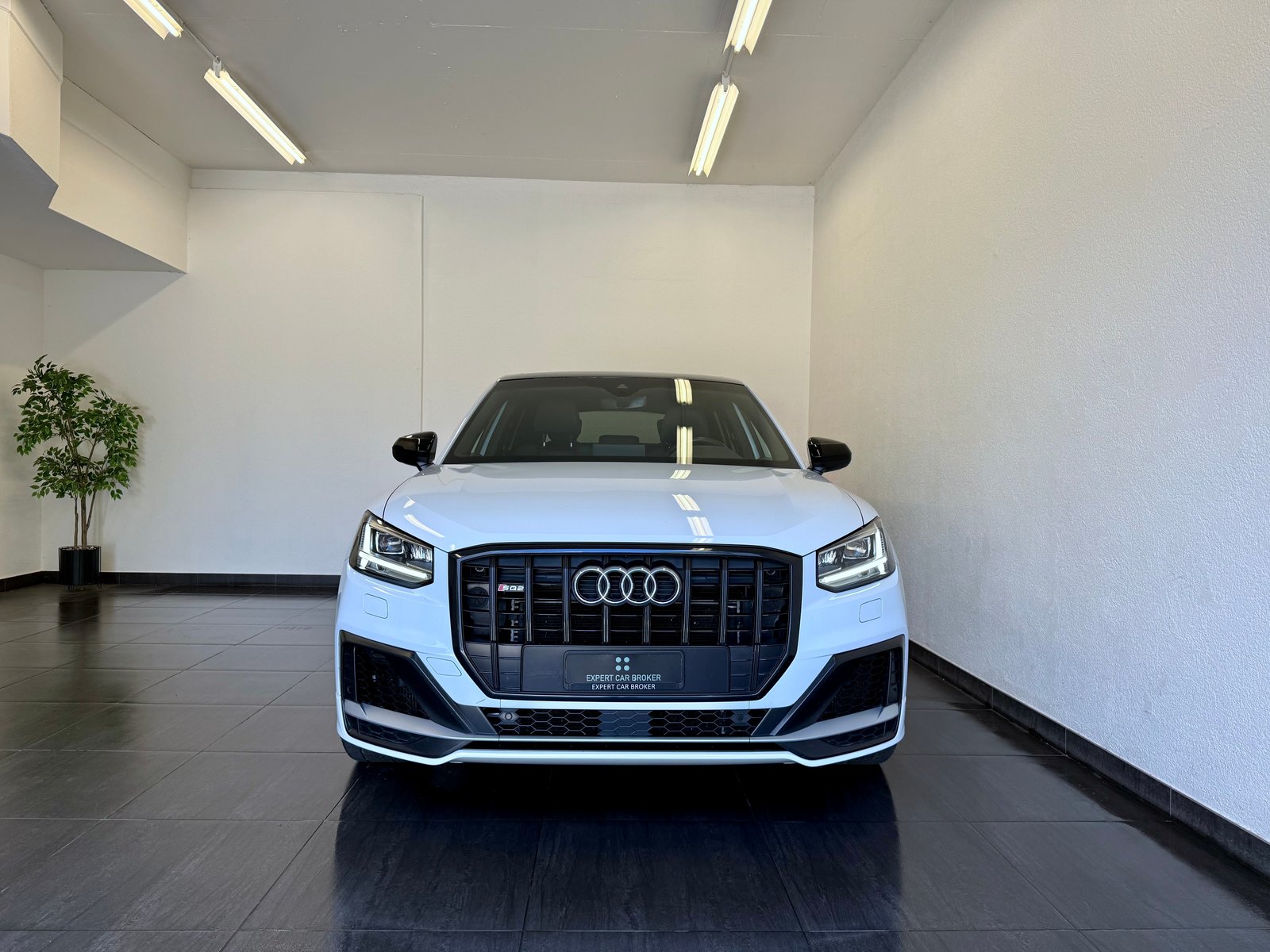 AUDI SQ2 TFSI quattro S-tronic, Essence, Occasion / Utilisé, Automatique - 4