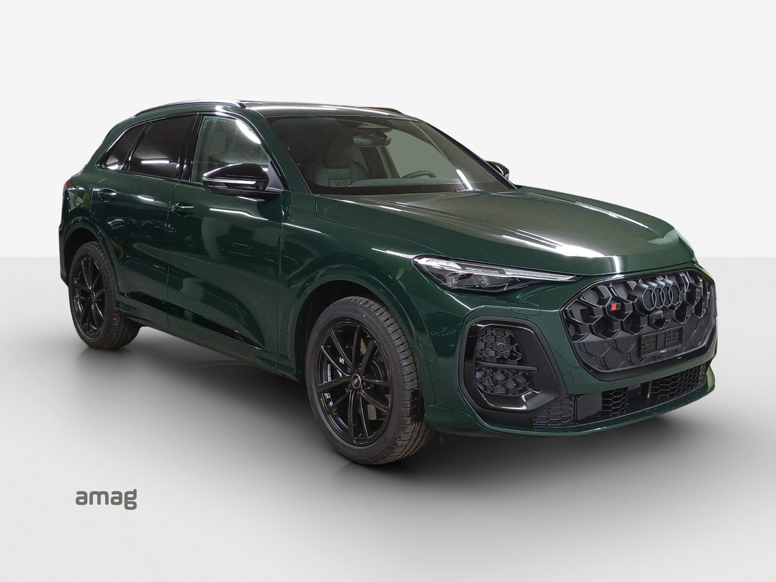 AUDI SQ5 SUV TFSI, Benzina, Auto nuove, Automatico - 6