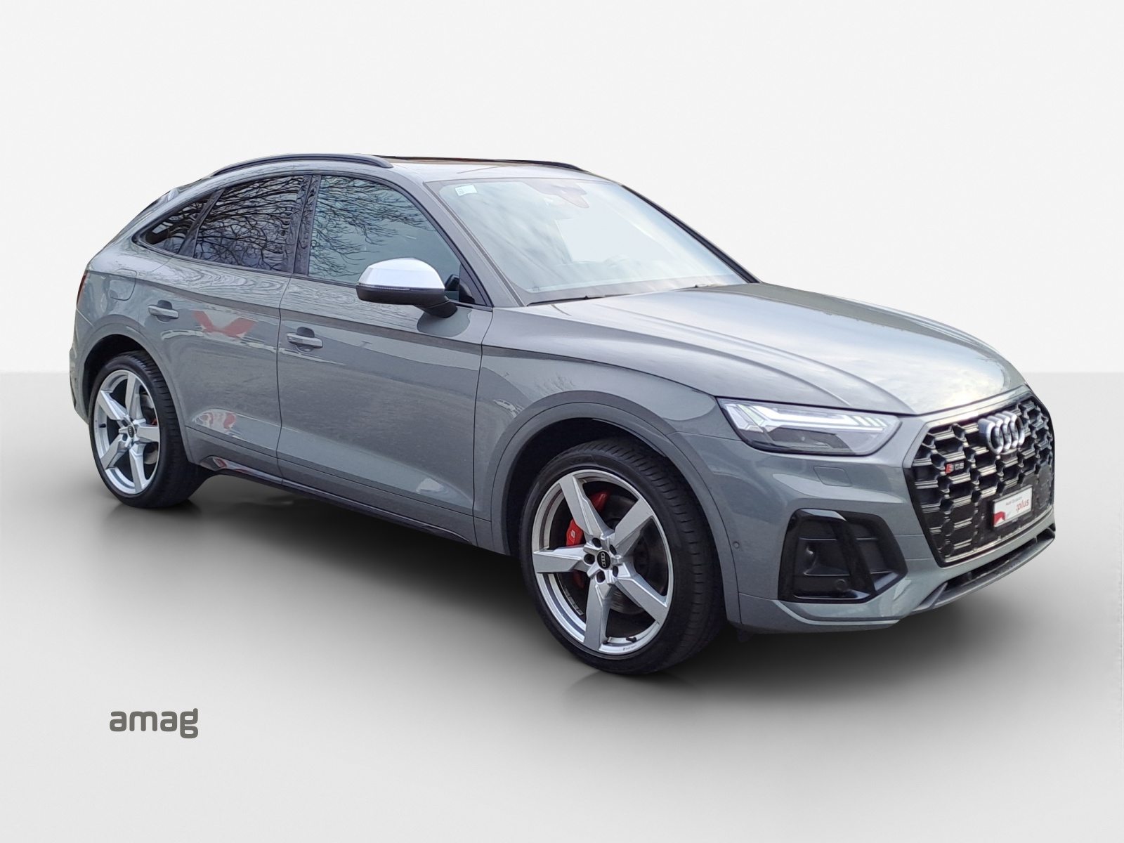 AUDI SQ5 SB, Diesel, Second hand / Used, Automatic - 6