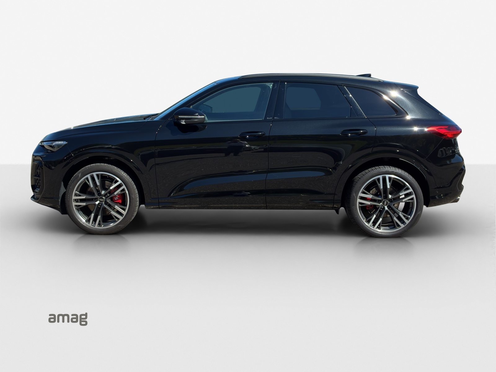 AUDI SQ5 SUV TFSI, Benzina, Occasioni / Usate, Automatico - 2