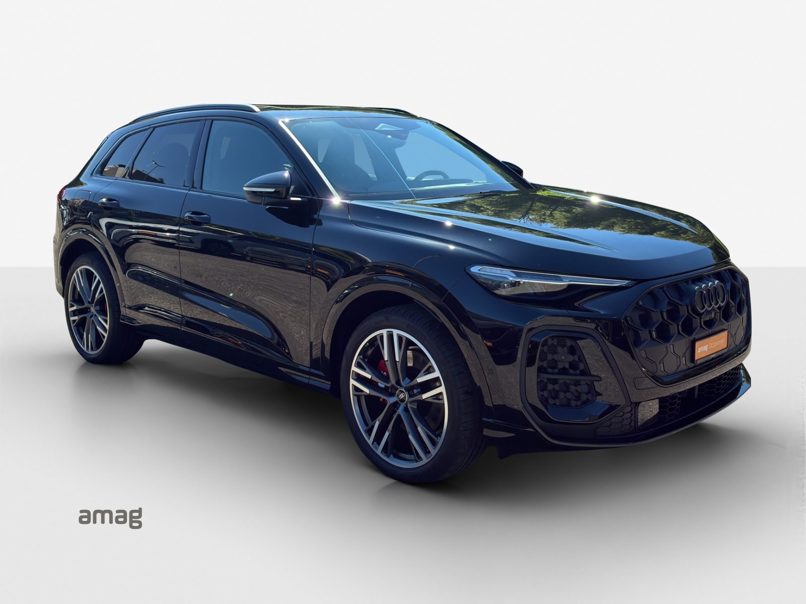 AUDI SQ5 SUV TFSI, Benzina, Occasioni / Usate, Automatico - 6