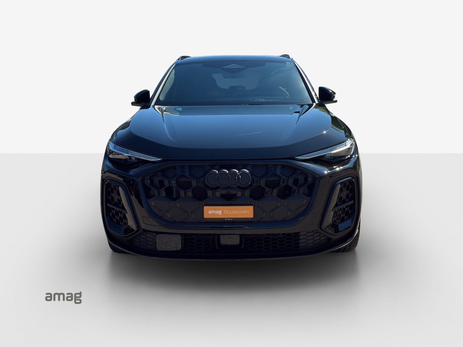 AUDI SQ5 SUV TFSI, Benzina, Occasioni / Usate, Automatico - 7