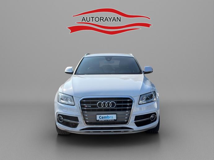 AUDI SQ5 3.0 TDI quattro tiptronic, Diesel, Occasioni / Usate, Automatico
