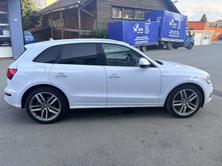 AUDI SQ5 3.0 TDI quattro tiptronic, Diesel, Second hand / Used, Automatic - 4