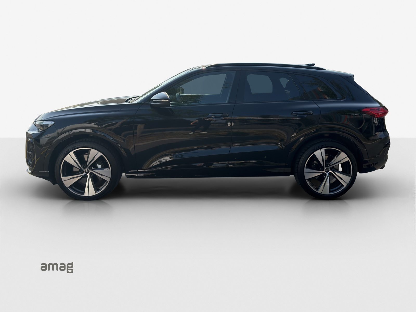 AUDI SQ5 SUV TFSI, Benzina, Occasioni / Usate, Automatico - 2