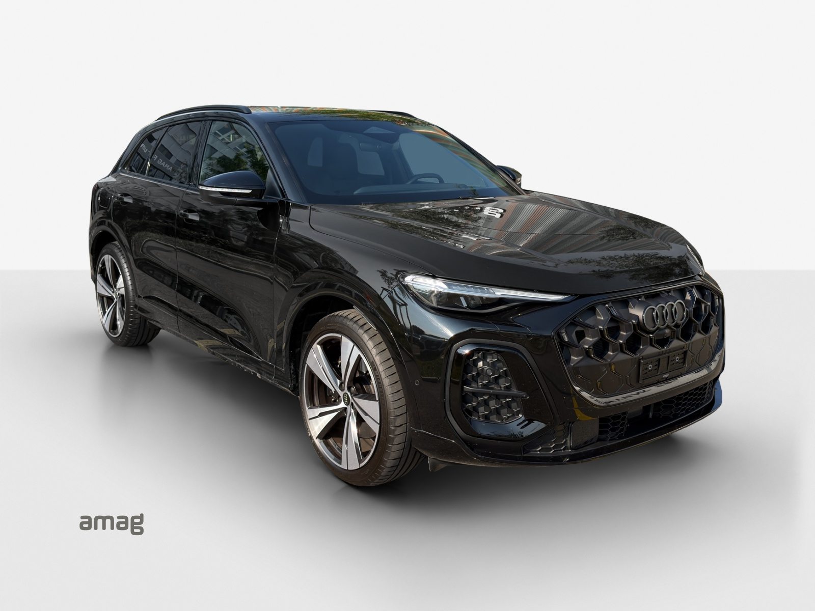 AUDI SQ5 SUV TFSI, Benzina, Occasioni / Usate, Automatico - 6