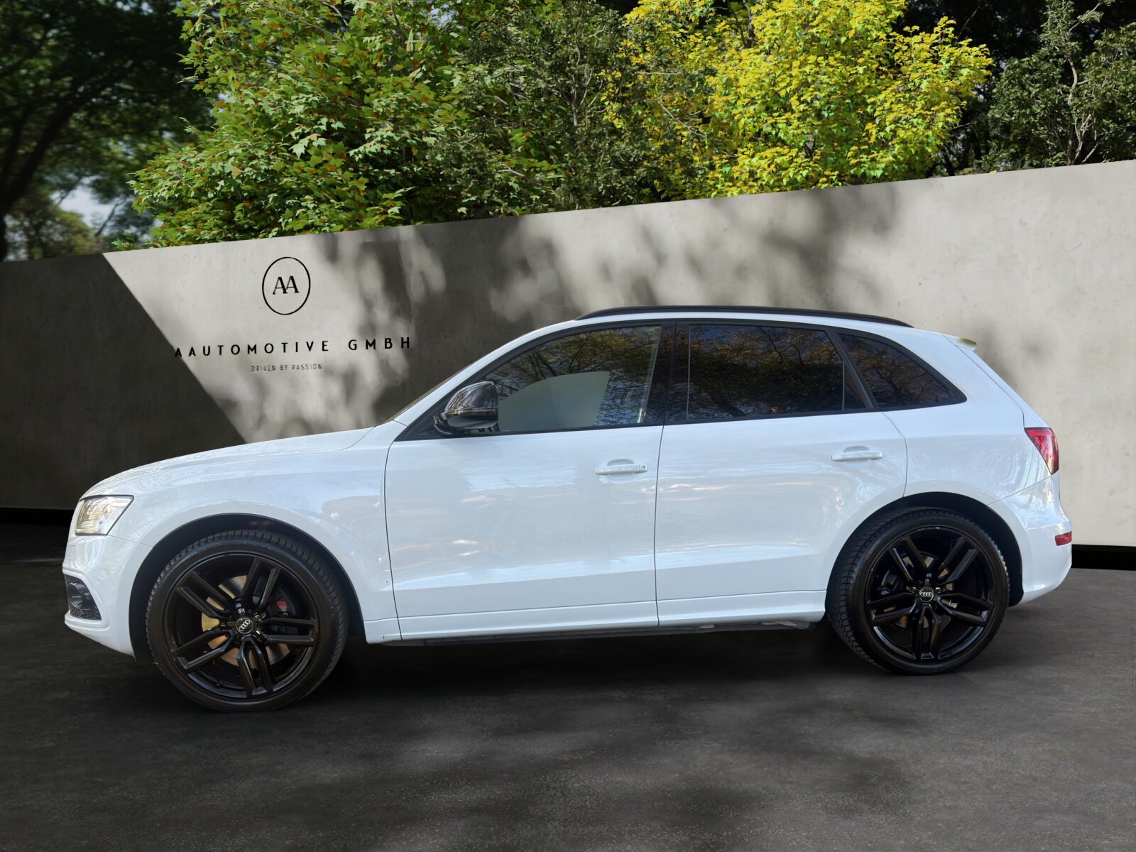 AUDI SQ5 3.0 TDI quattro tiptronic, Diesel, Occasion / Gebraucht, Automatik - 3