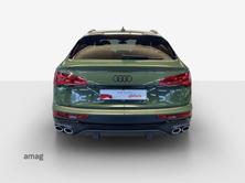 AUDI SQ5 SB, Diesel, Occasion / Gebraucht, Automatik - 4
