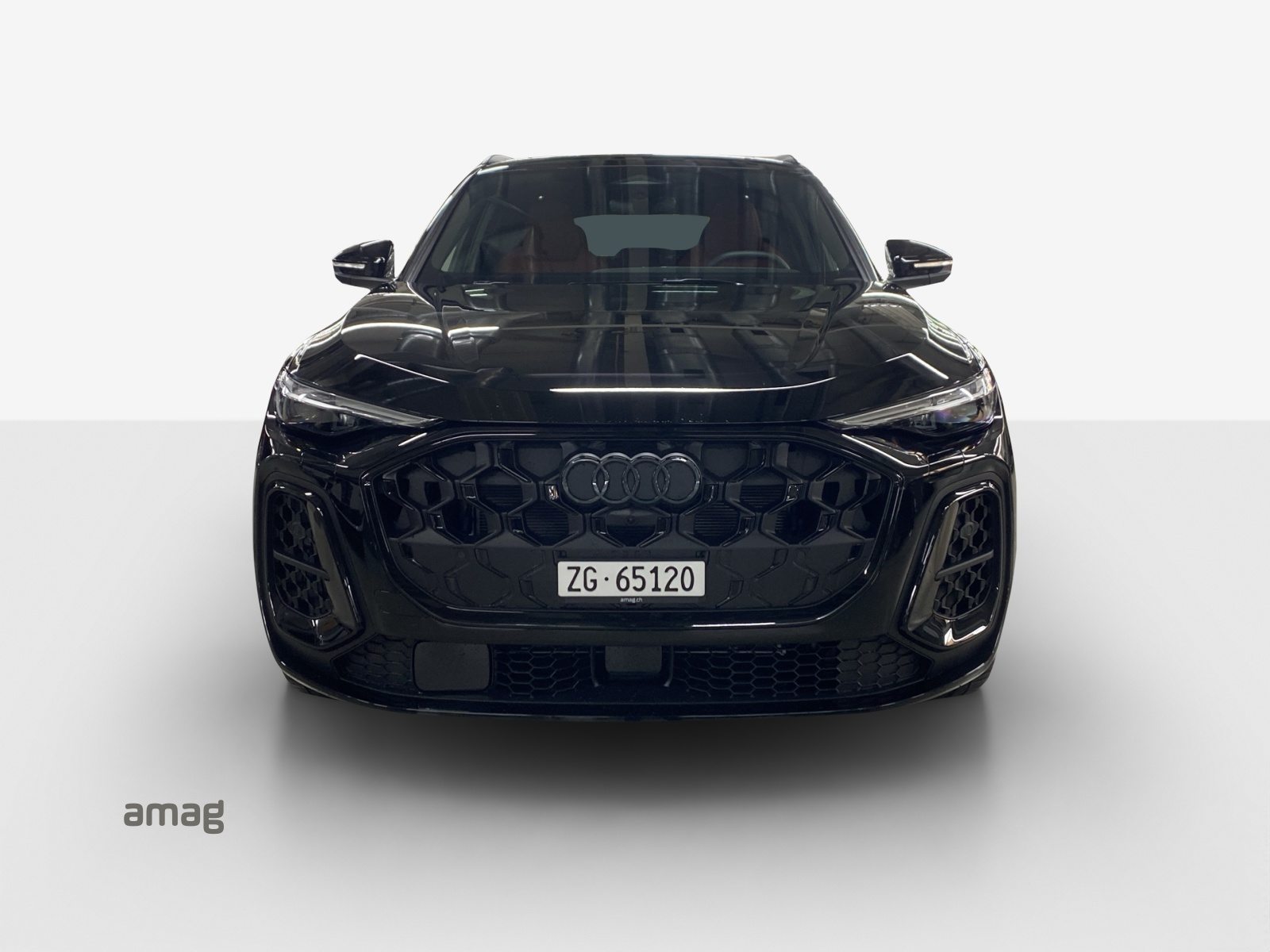 AUDI SQ5 SUV TFSI, Benzina, Occasioni / Usate, Automatico - 7