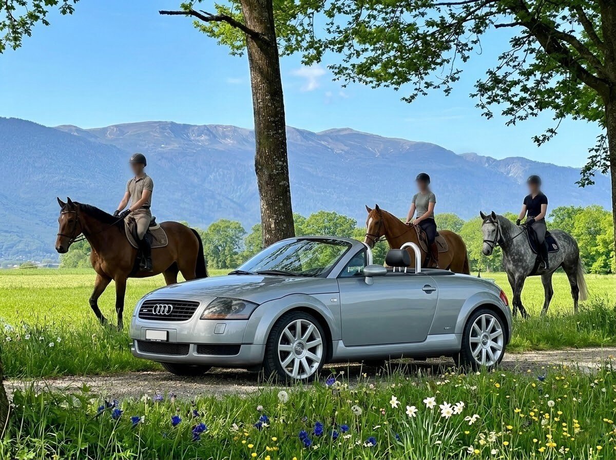 AUDI TT Roadster 1.8 T