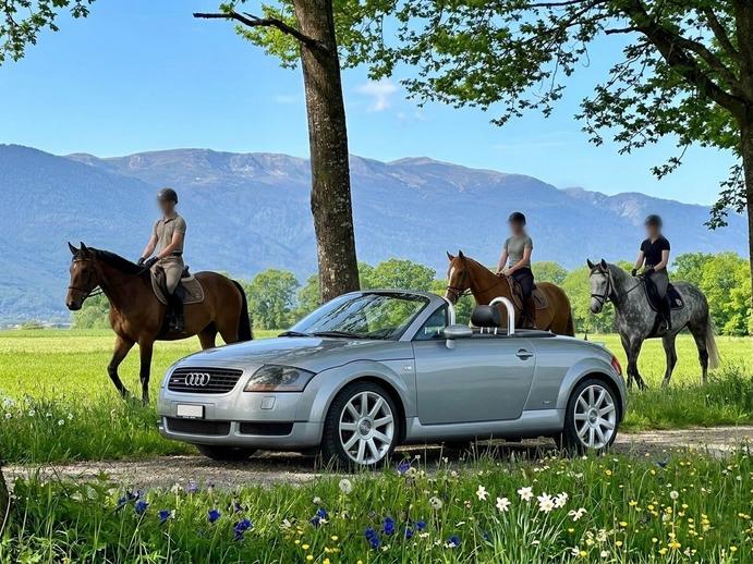 AUDI TT Roadster 1.8 T, Benzin, Occasion / Gebraucht, Handschaltung
