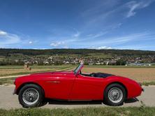 AUSTIN-HEALEY 100/4 BN1 M-Spezifikation, Benzina, Auto d'epoca, Manuale - 3