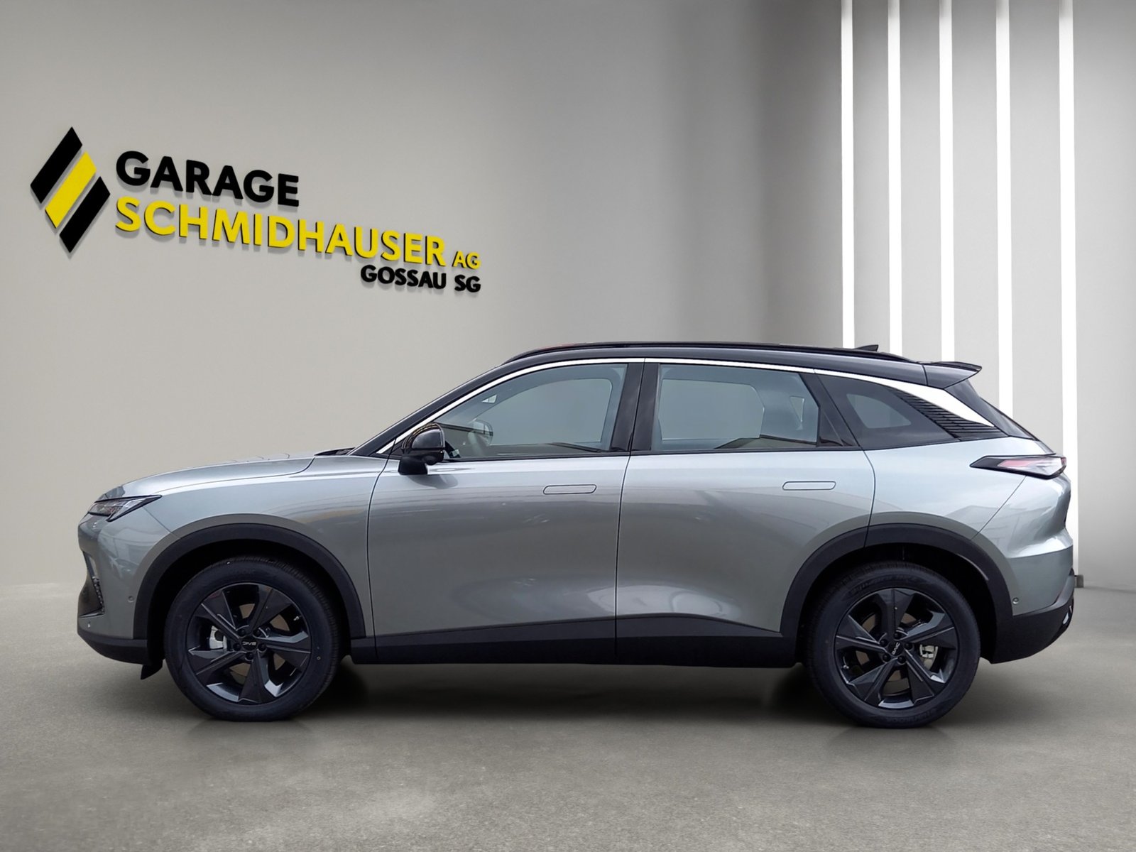 BAIC X55 1.5 Premium, Benzin, Neuwagen, Automatik - 2
