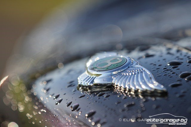 BENTLEY Arnage Green Label, Benzin, Occasion / Gebraucht, Automatik - 5