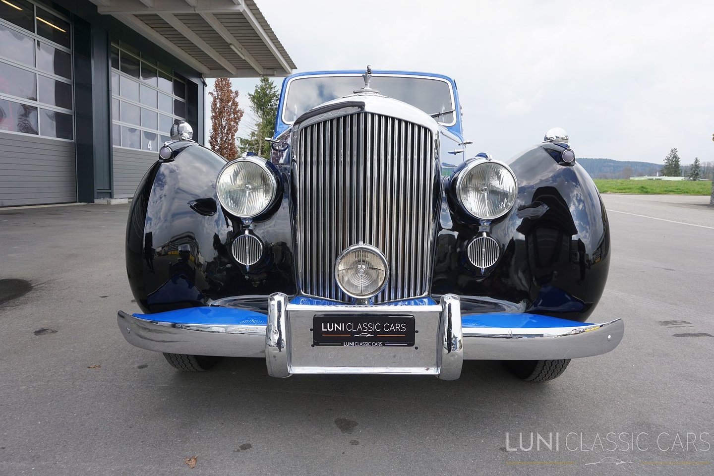 BENTLEY Mark VI, Essence, Voiture de collection, Manuelle - 6