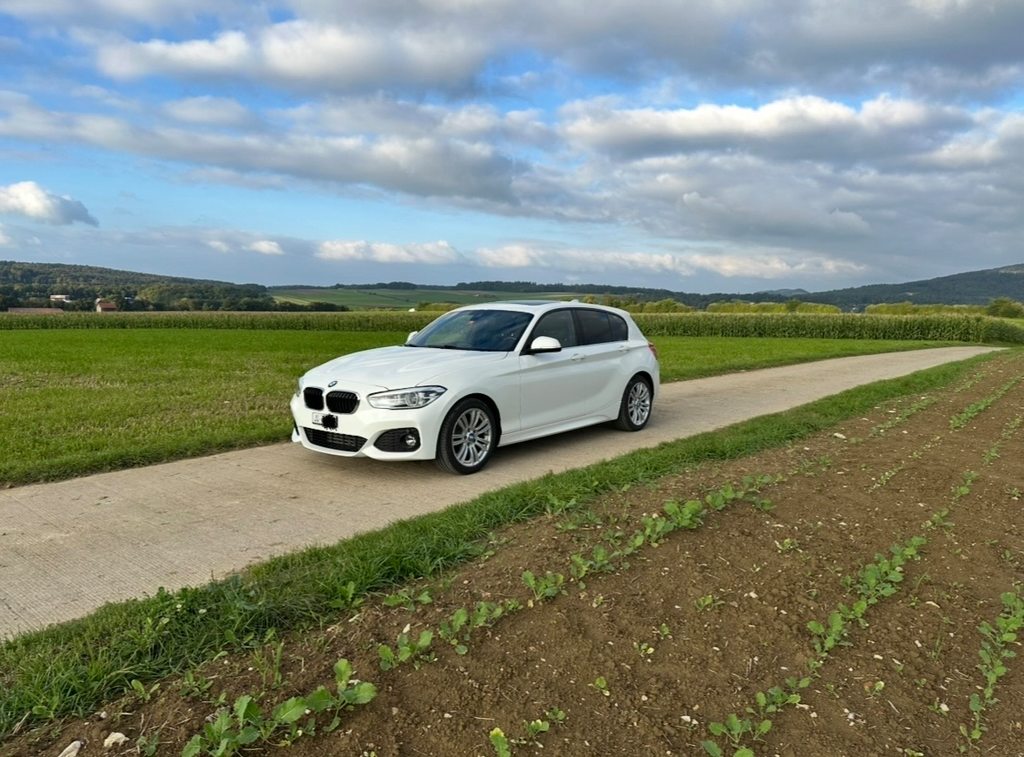 BMW 1er Reihe F20 118i, Benzina, Occasioni / Usate, Manuale - 2