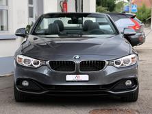 BMW 428i Cabriolet Sport Line Steptronic, Benzina, Occasioni / Usate, Automatico - 7