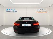 BMW 430i Cabriolet Luxury Line Steptronic, Benzina, Occasioni / Usate, Automatico - 6