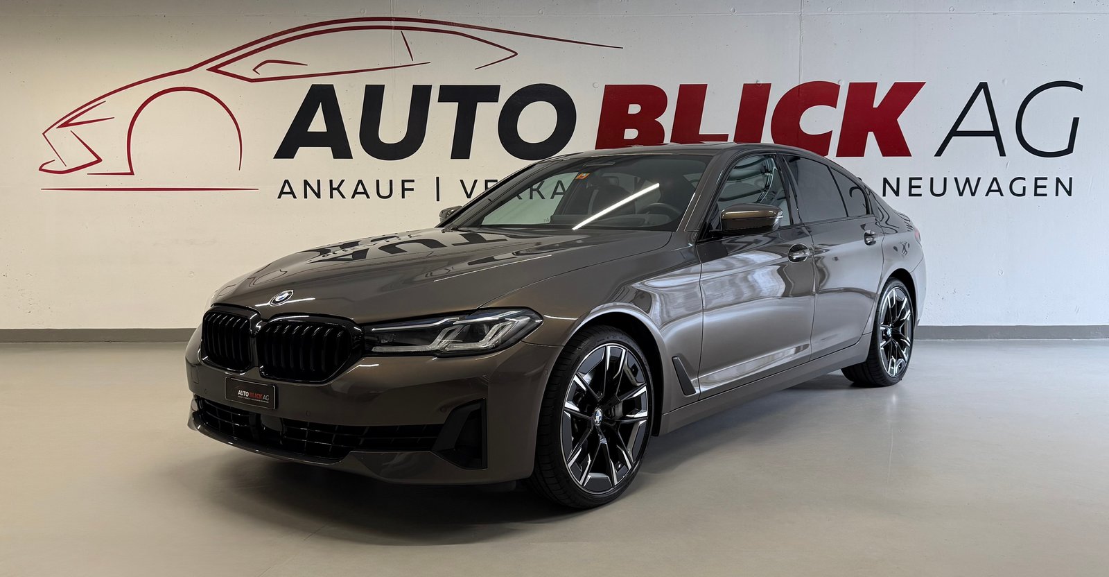 BMW 530d 48V Luxury Line Steptronic