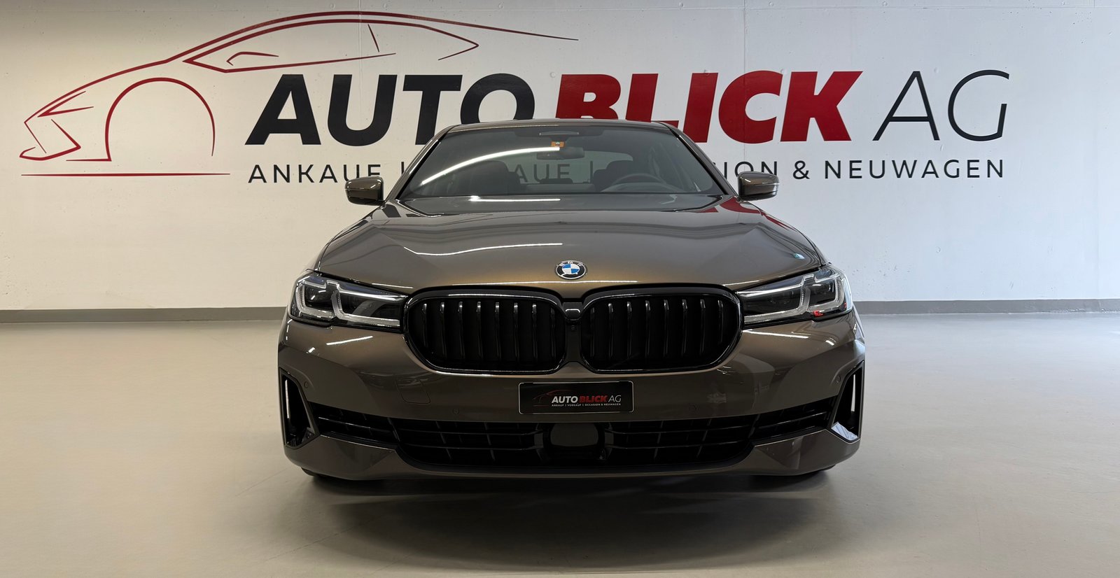 BMW 530d 48V Luxury Line Steptronic, Hybride Leggero Diesel/Elettrica, Occasioni / Usate, Automatico - 3