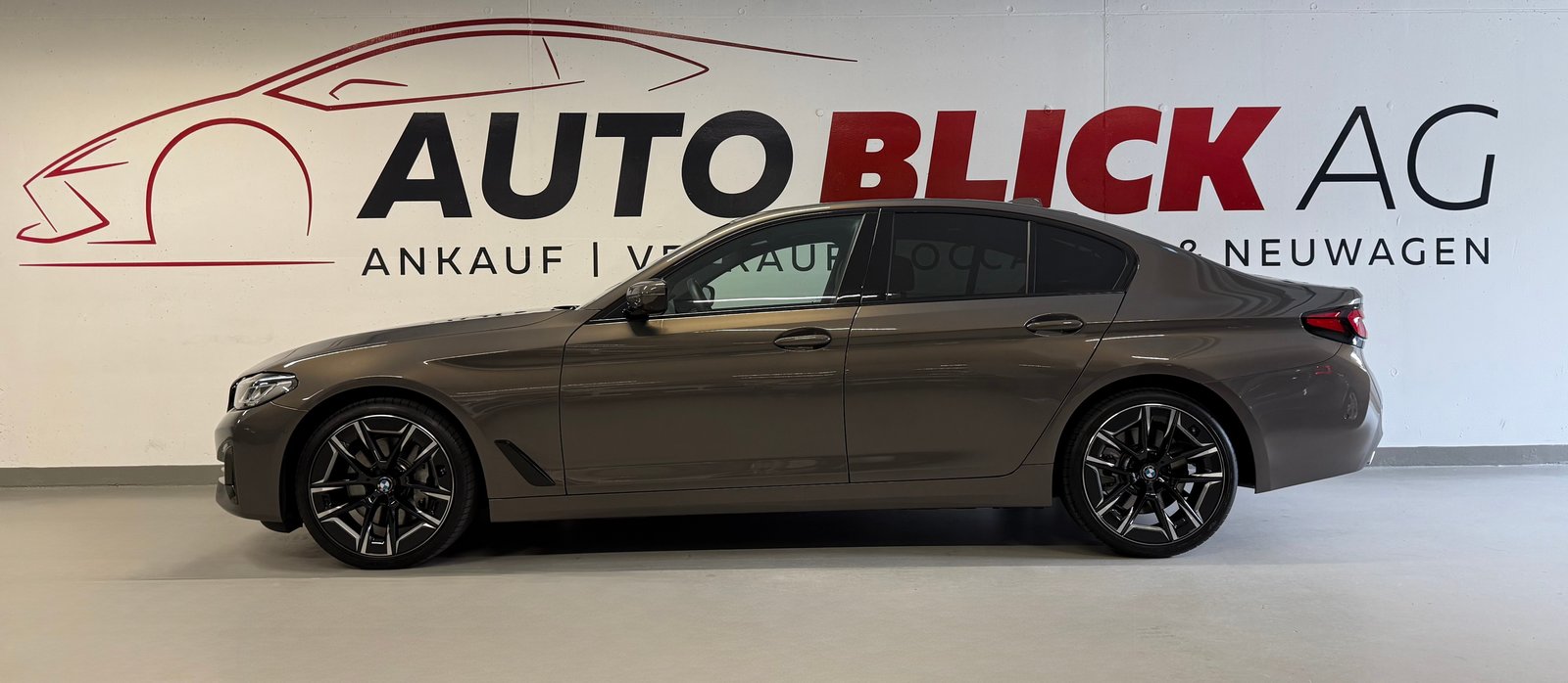 BMW 530d 48V Luxury Line Steptronic, Hybride Leggero Diesel/Elettrica, Occasioni / Usate, Automatico - 4