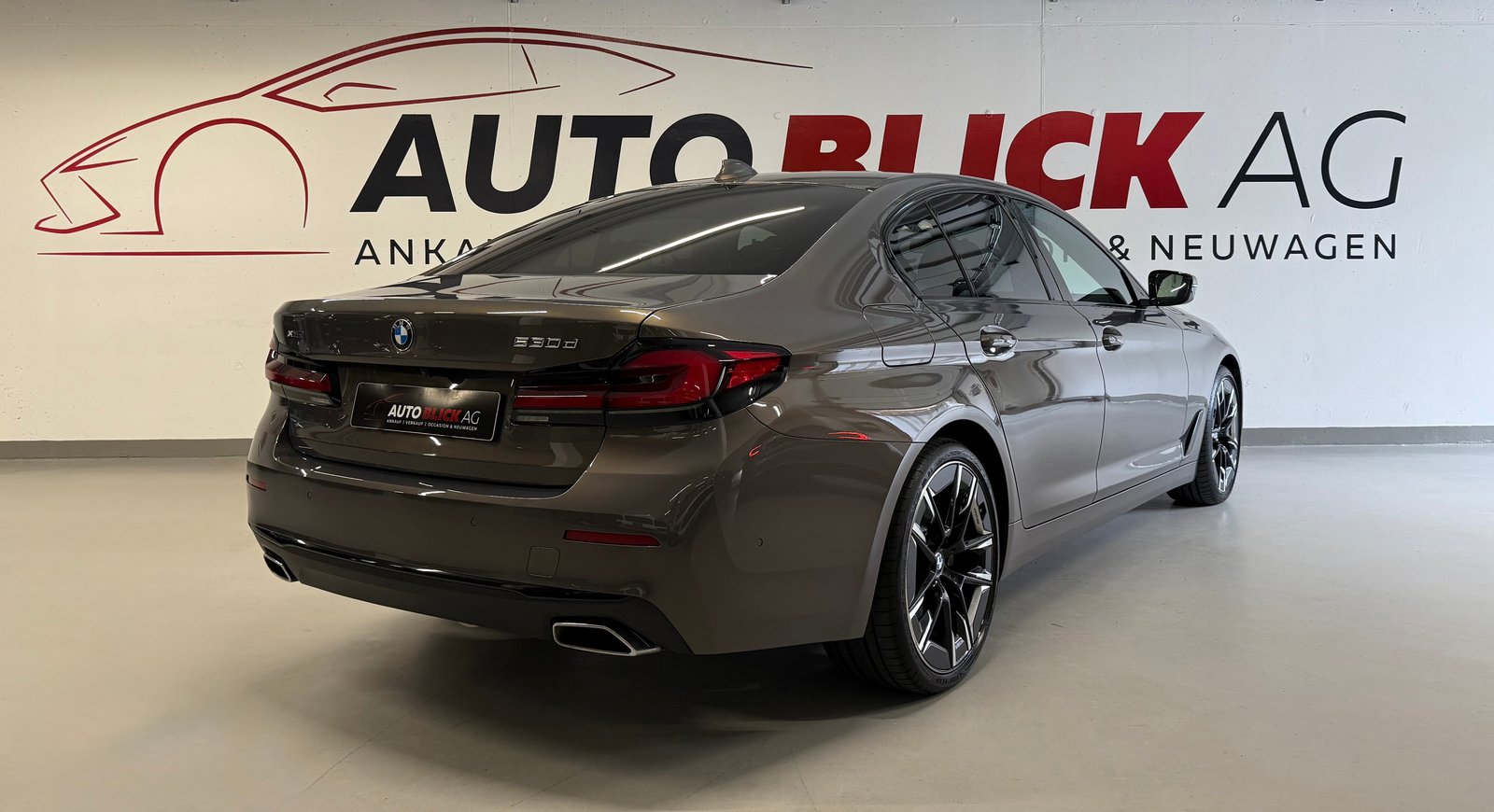 BMW 530d 48V Luxury Line Steptronic, Hybride Leggero Diesel/Elettrica, Occasioni / Usate, Automatico - 6