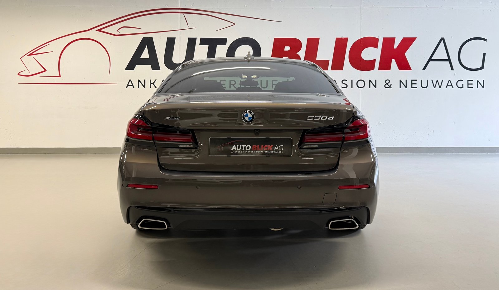 BMW 530d 48V Luxury Line Steptronic, Hybride Leggero Diesel/Elettrica, Occasioni / Usate, Automatico - 7
