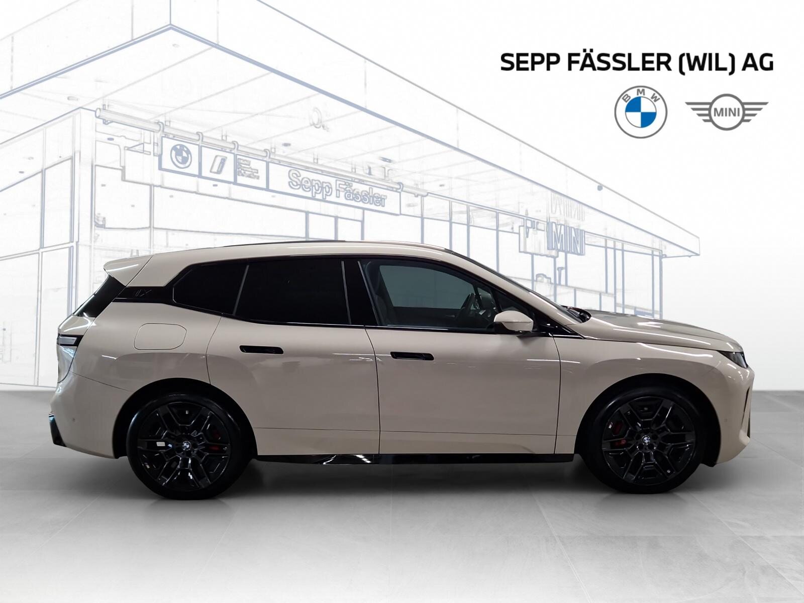 BMW iX xDrive60 M Sport Pro, Elettrica, Auto nuove, Automatico - 6