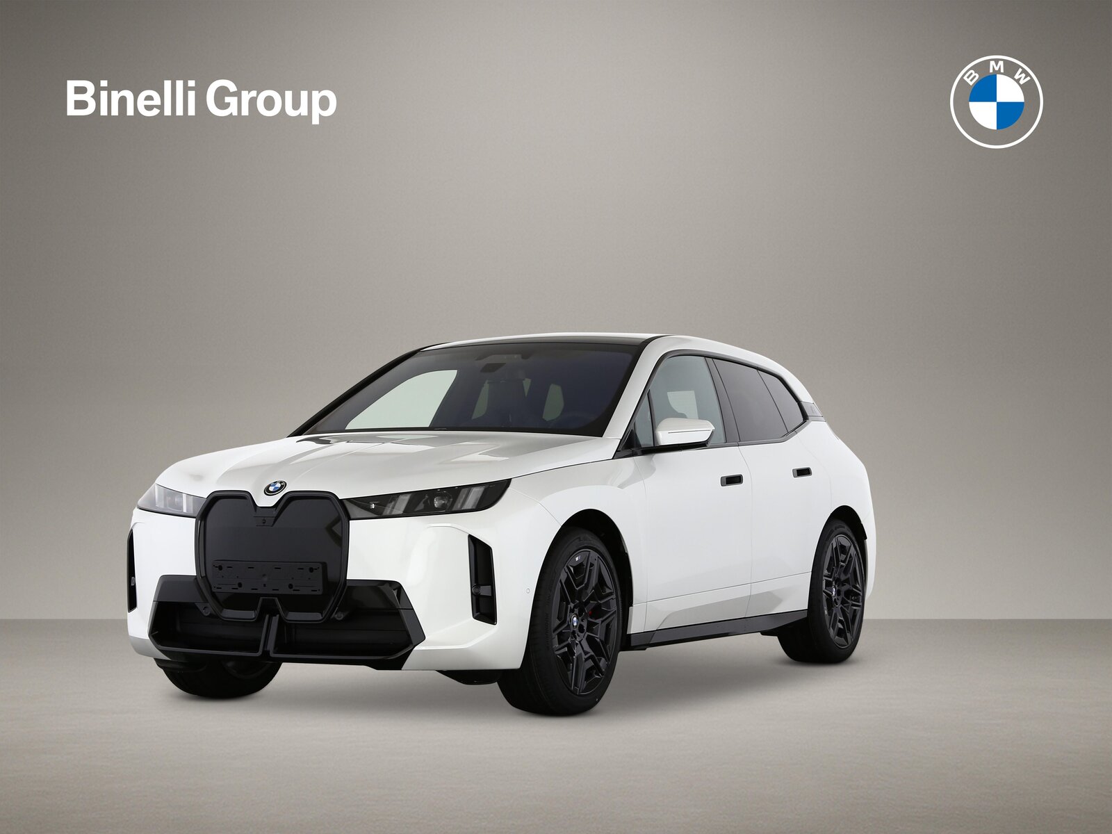 BMW iX I20 60