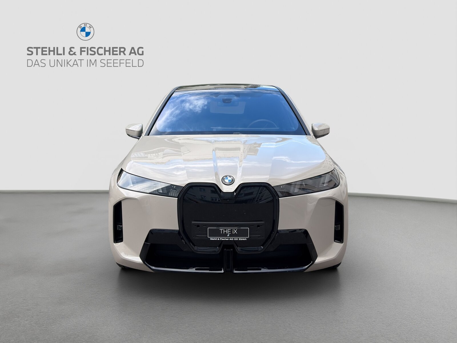 BMW iX 60 M Sport Pro, Elettrica, Occasioni / Usate, Automatico - 2