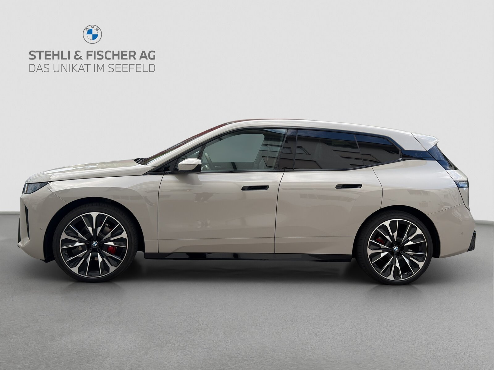 BMW iX 60 M Sport Pro, Elettrica, Occasioni / Usate, Automatico - 3