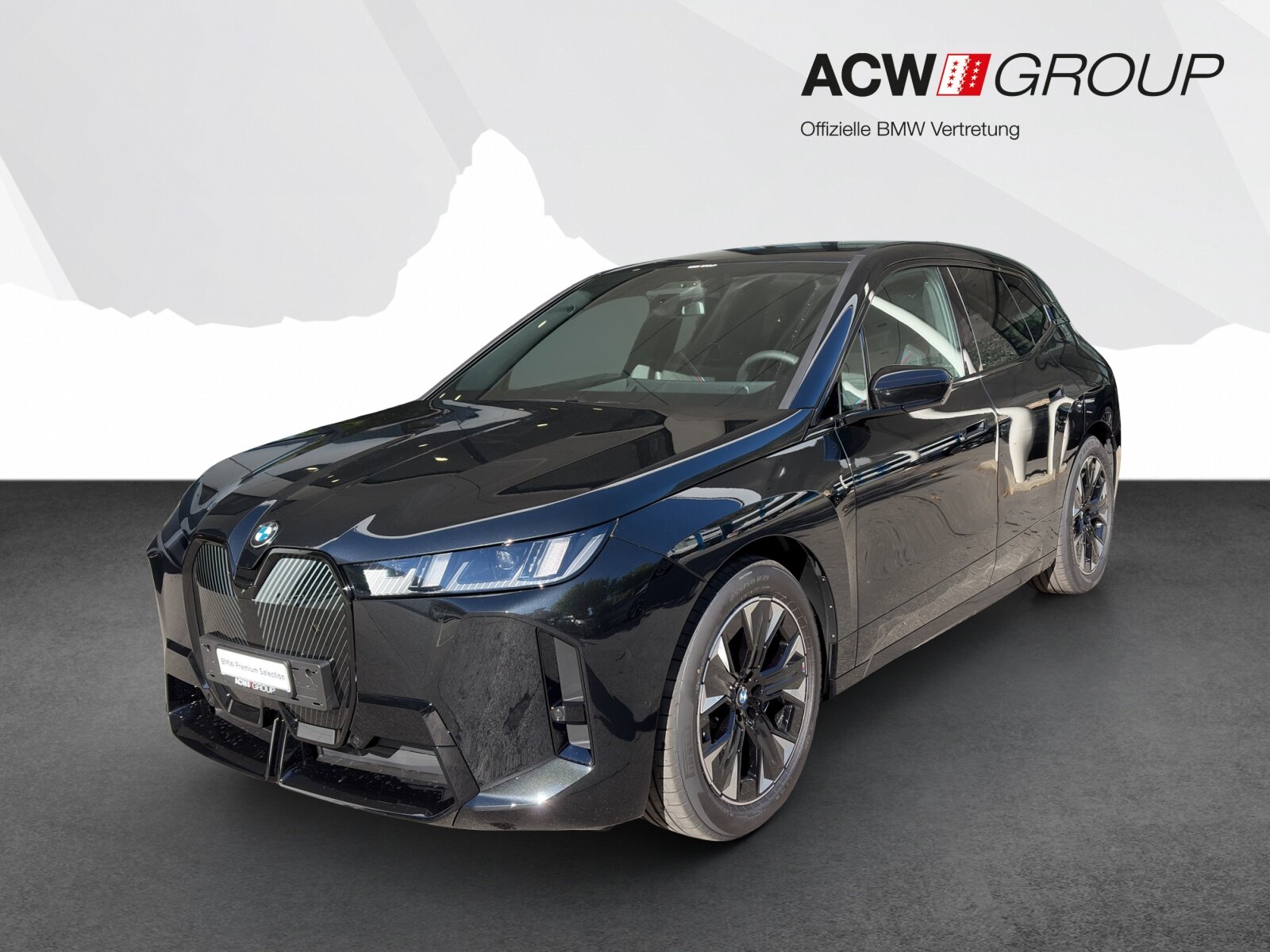 BMW iX 45