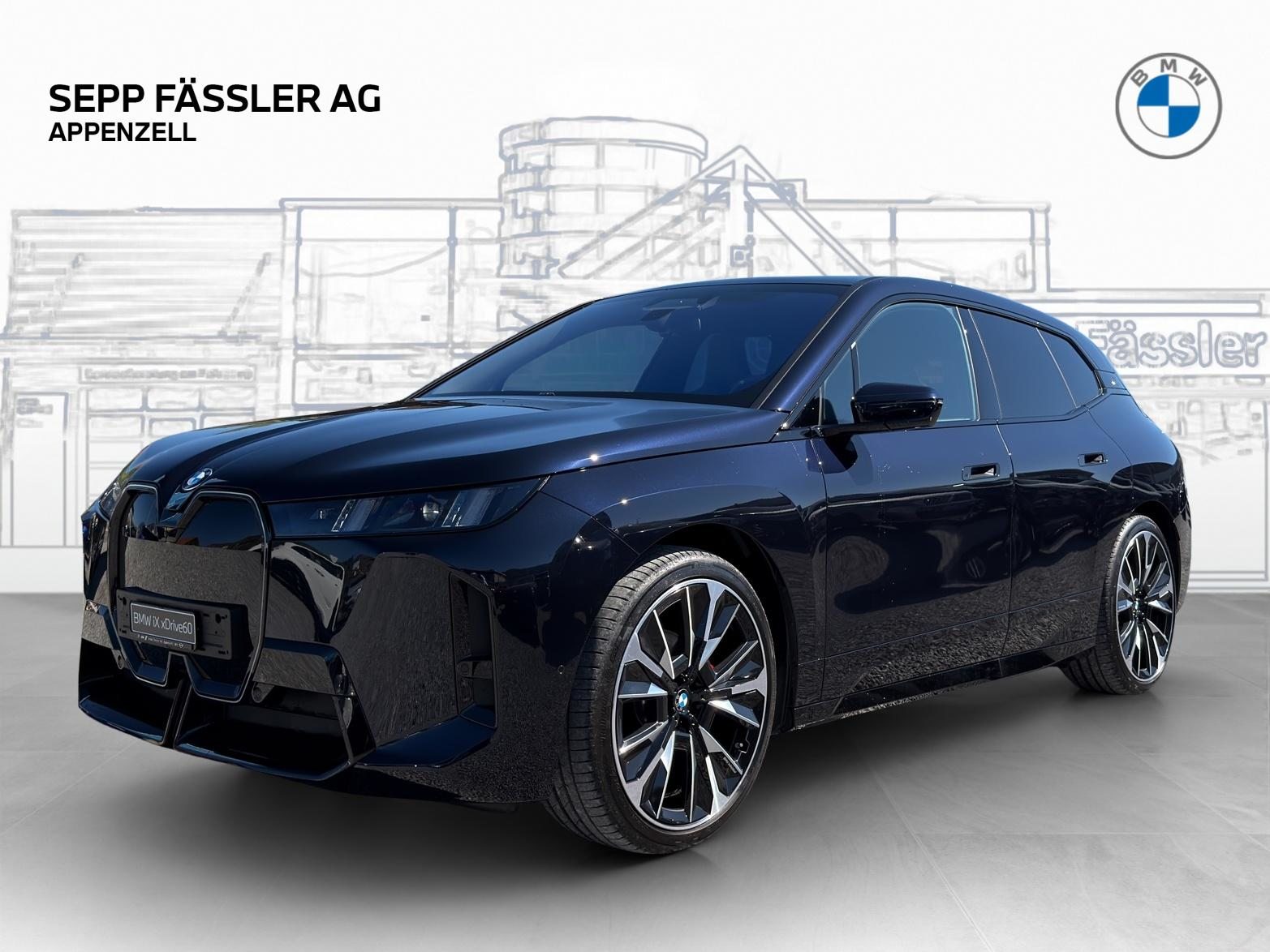 BMW iX