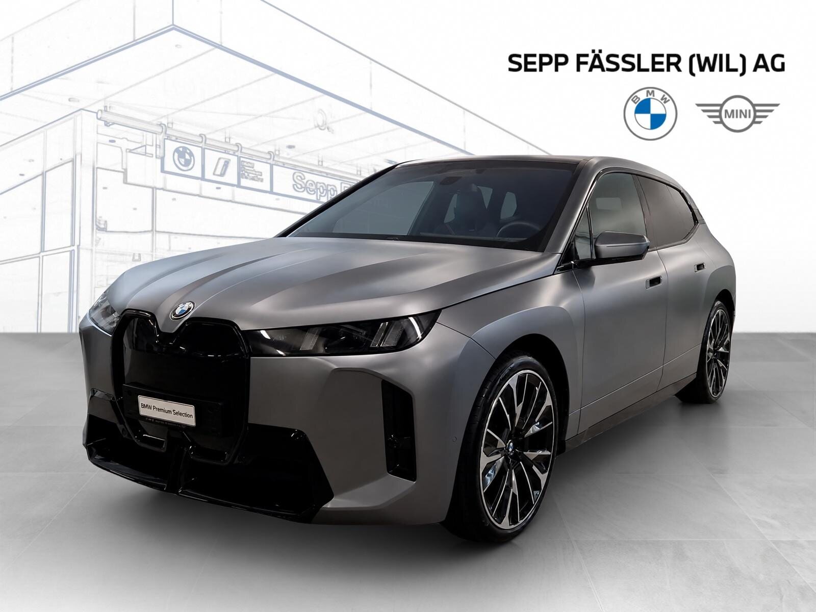 BMW iX