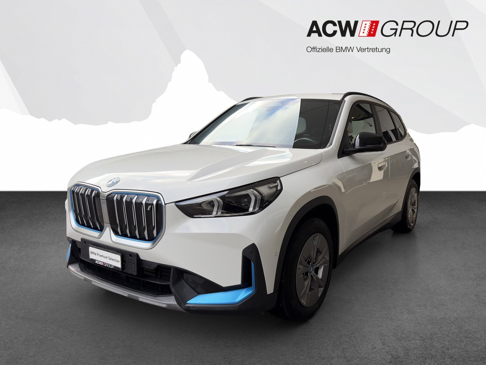 BMW iX1 30