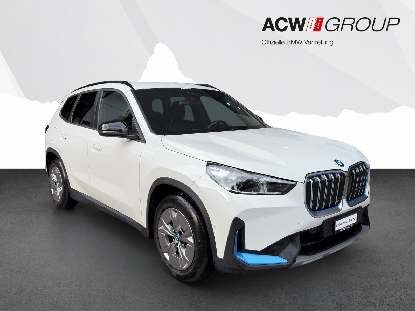 BMW iX1 30, Elektro, Occasion / Gebraucht, Automatik - 7