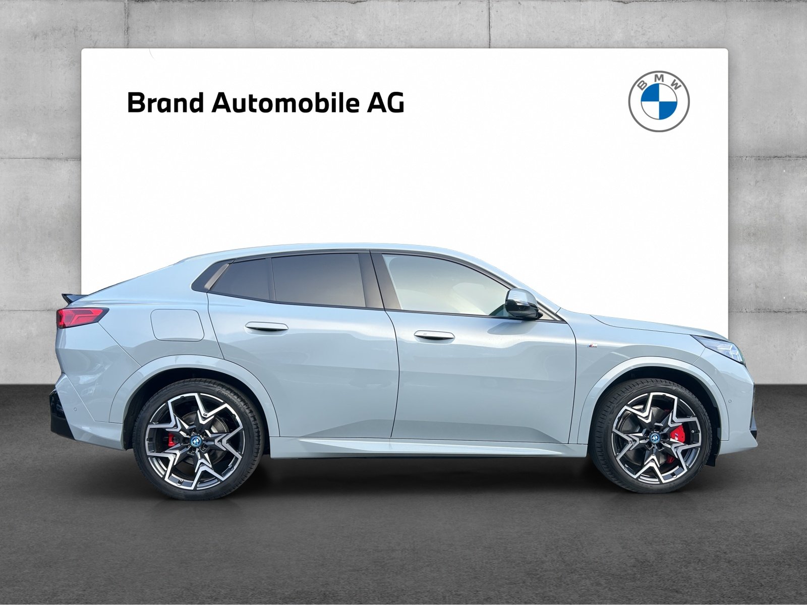 BMW iX2 30, Elektro, Occasion / Gebraucht, Automatik - 6