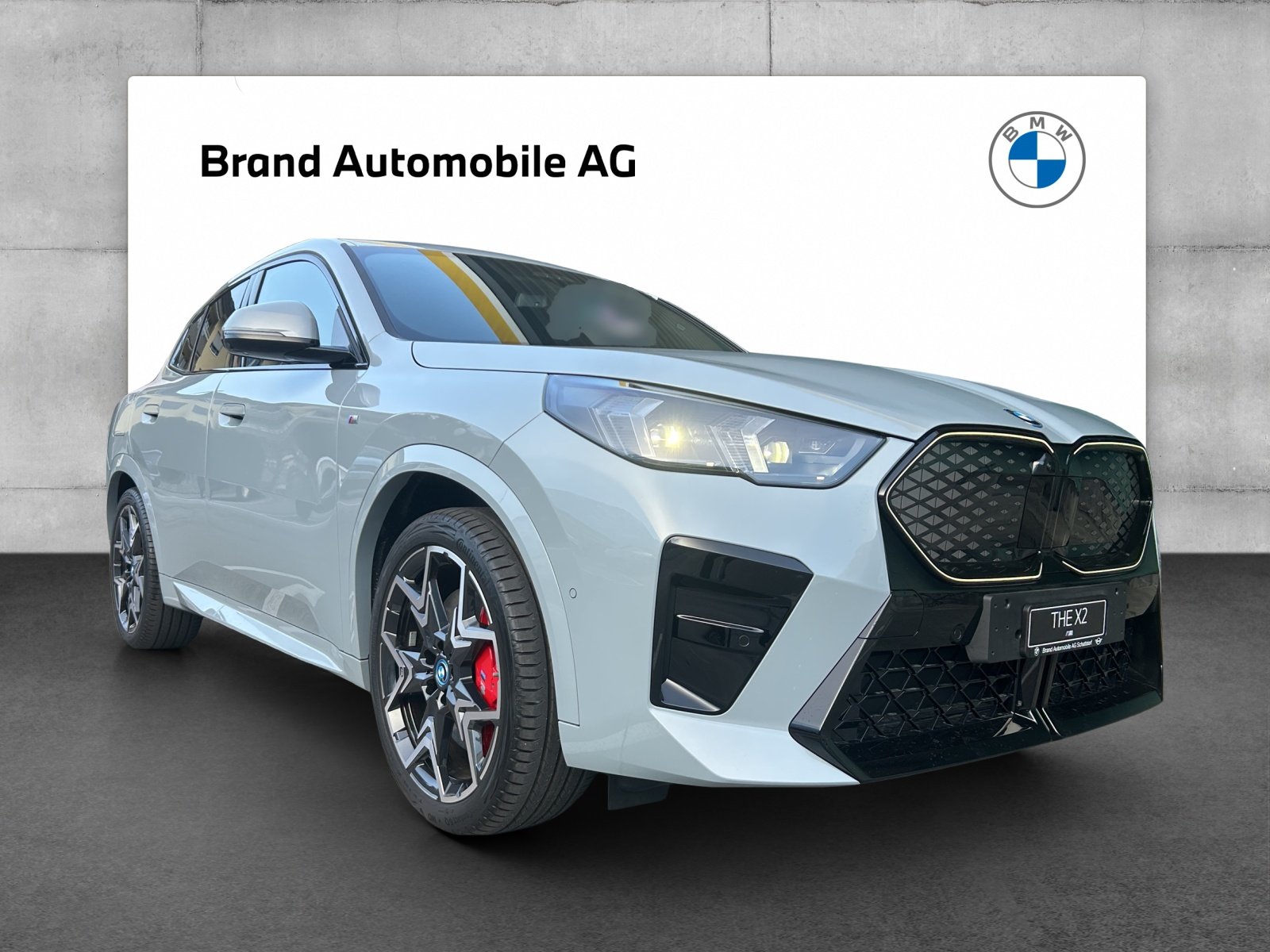 BMW iX2 30, Elektro, Occasion / Gebraucht, Automatik - 7