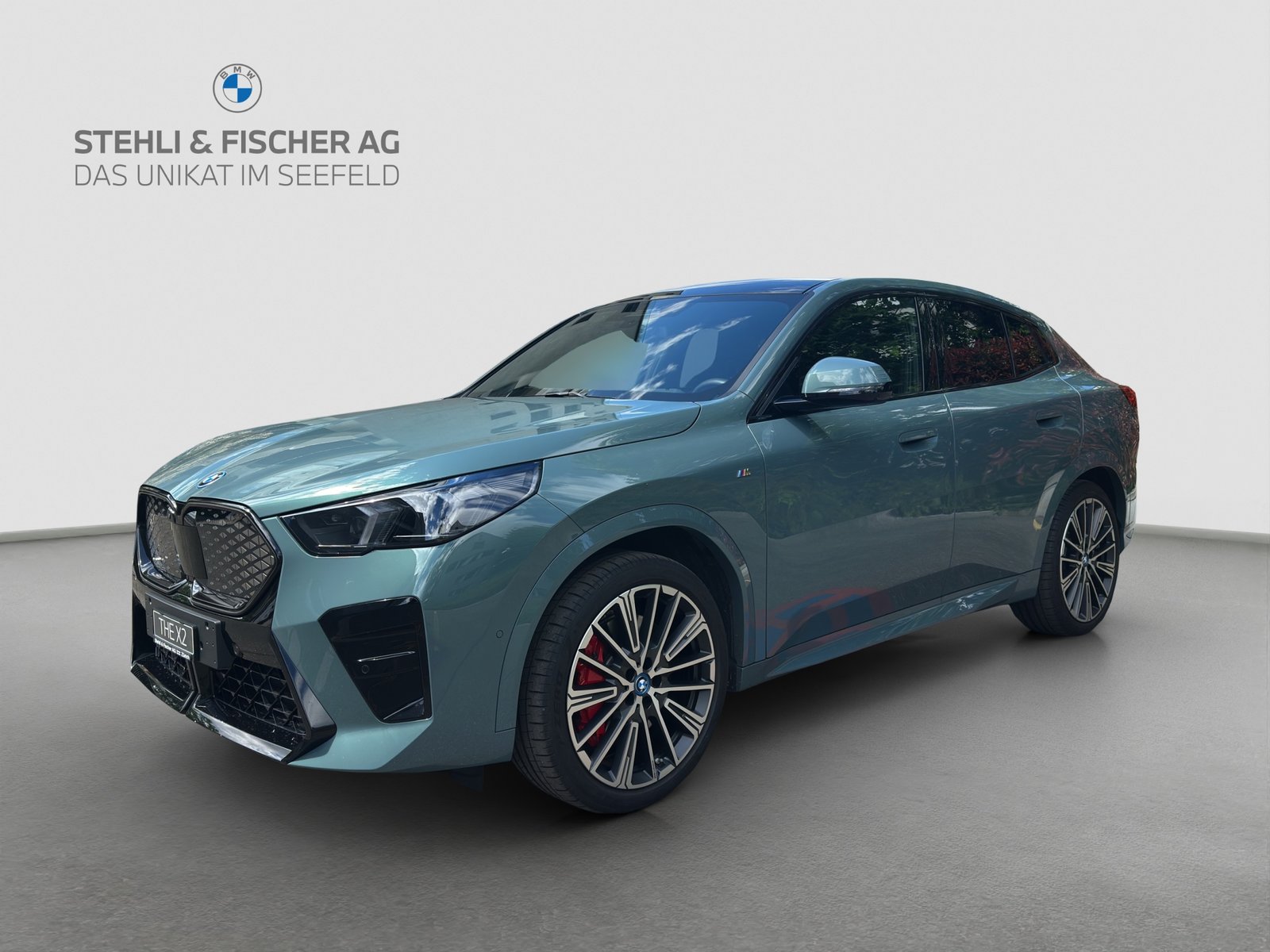 BMW iX2 30 M Sport Pro