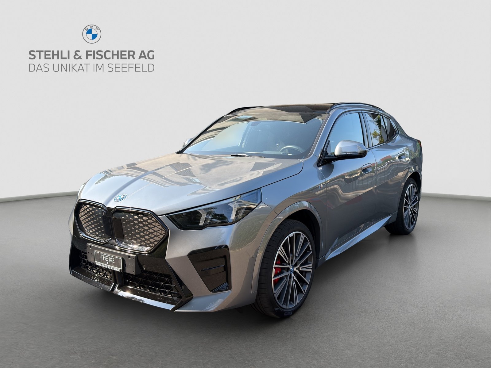 BMW iX2 30 M Sport Pro