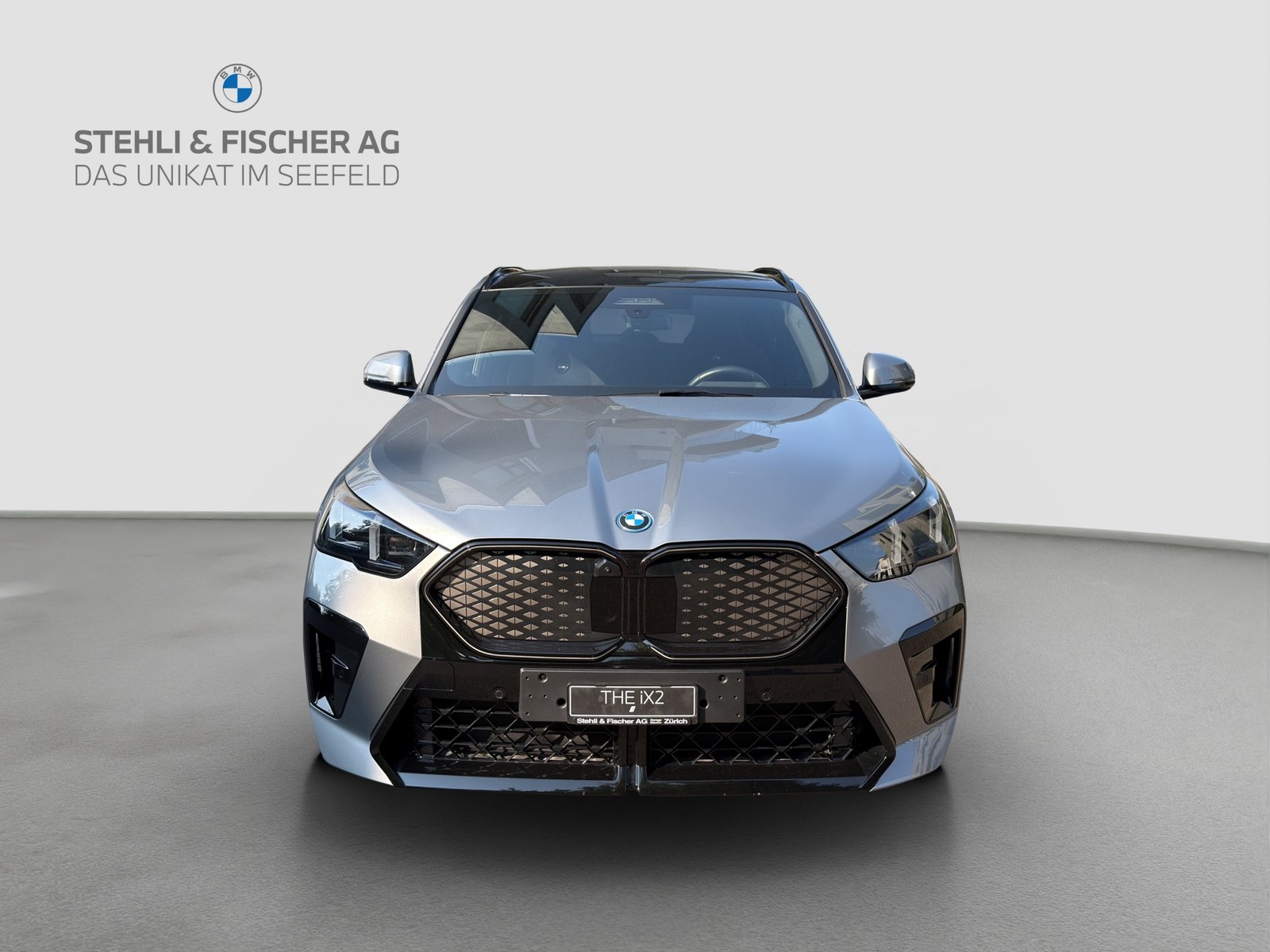 BMW iX2 30 M Sport Pro, Elektro, Vorführwagen, Automatik - 2