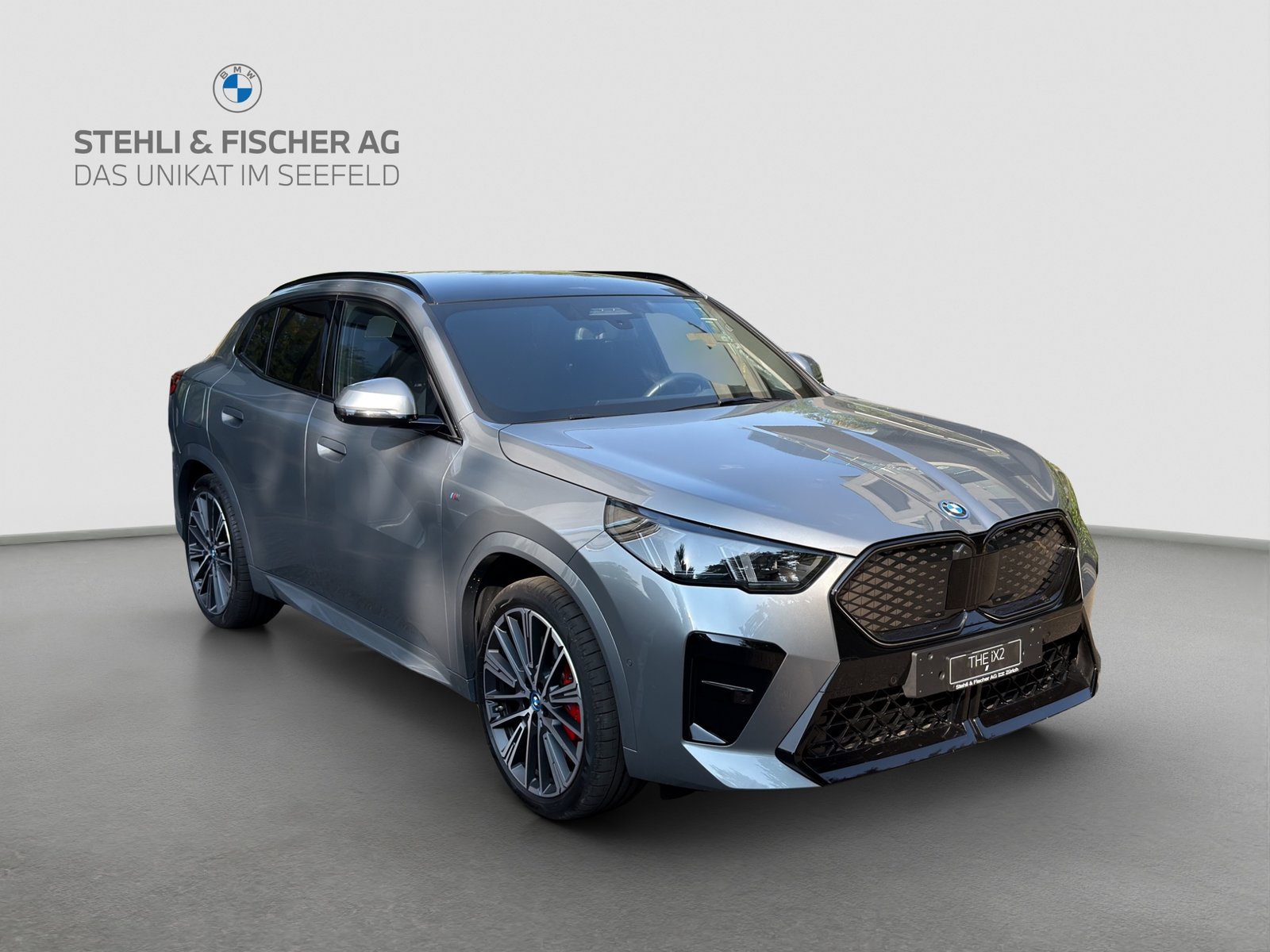 BMW iX2 30 M Sport Pro, Elektro, Vorführwagen, Automatik - 5