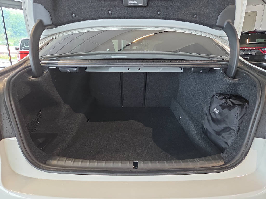 BMW M550i SAG, Benzina, Occasioni / Usate, Automatico - 5