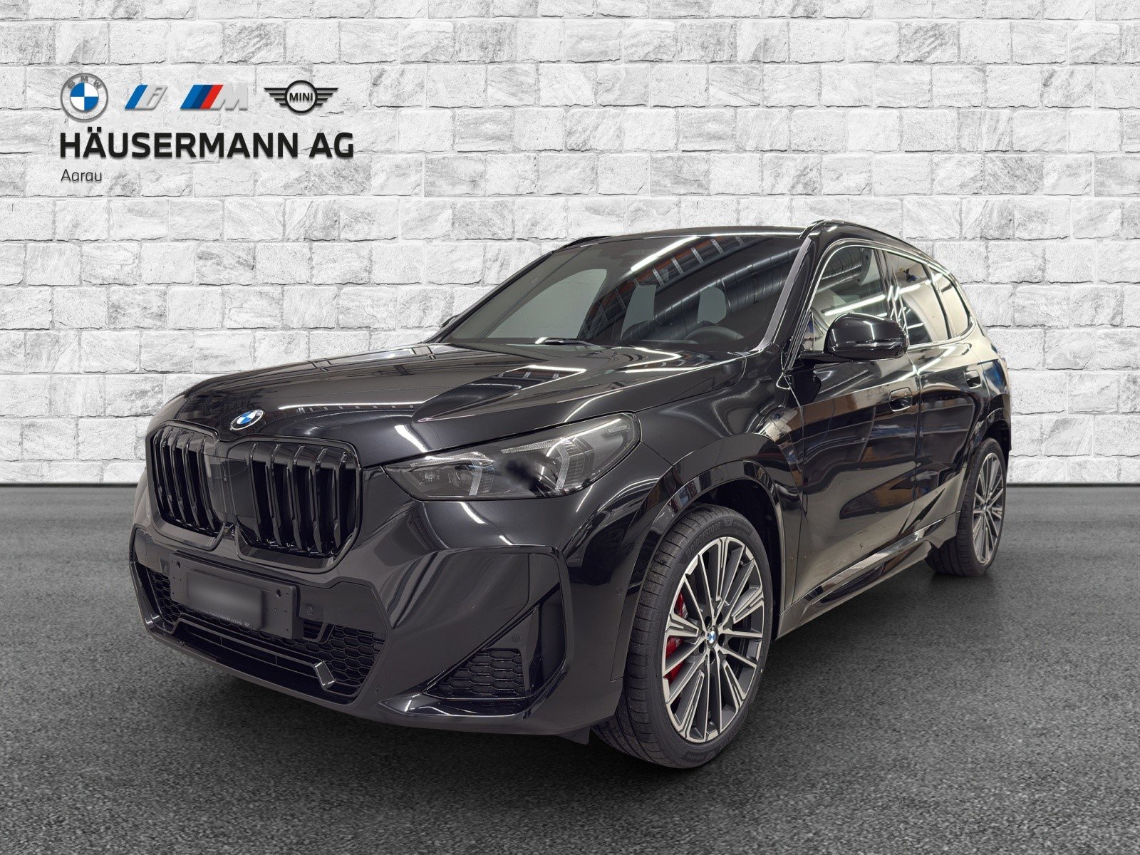 BMW X1 23d 48V M Sport Pro