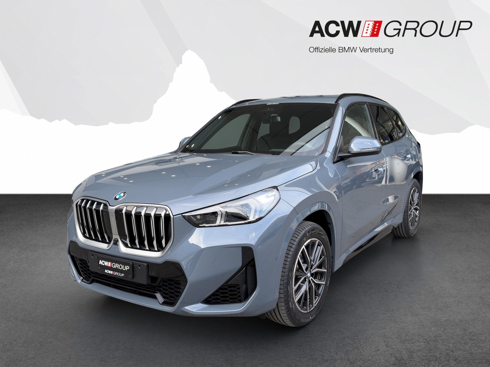 BMW X1 23i