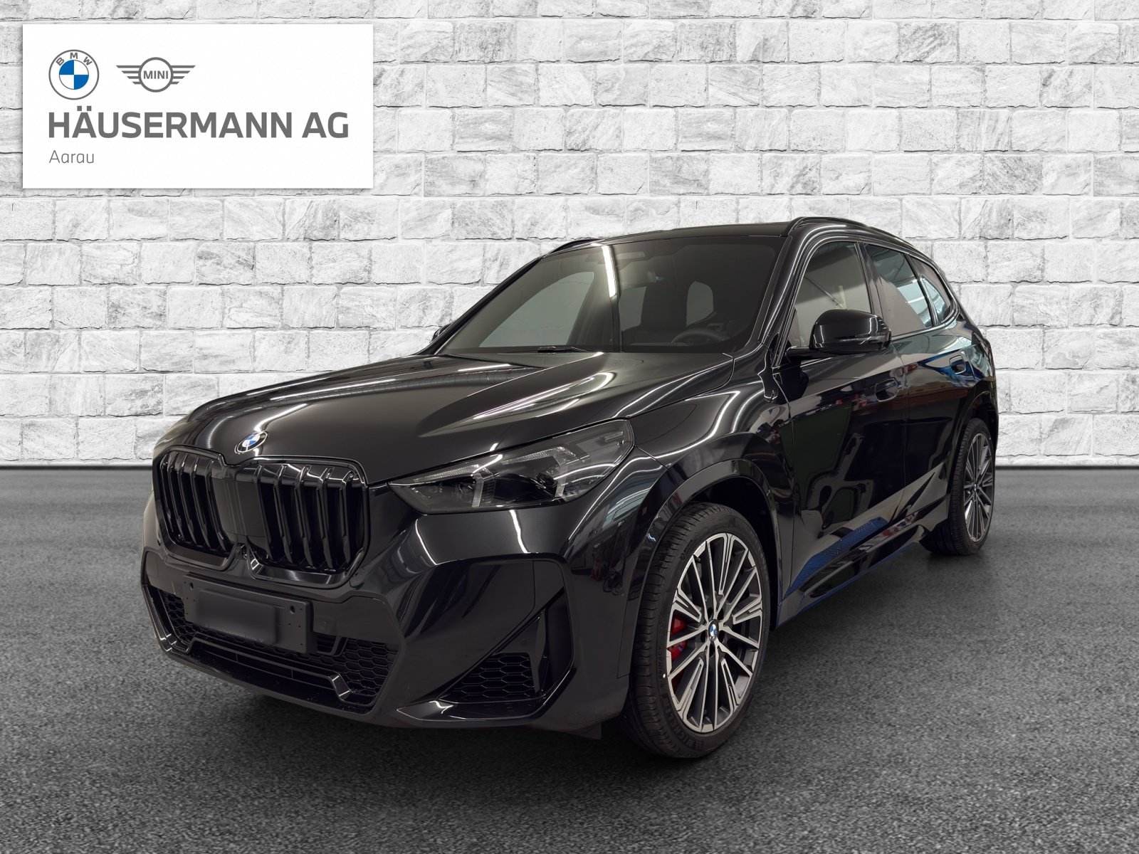 BMW X1 23i 48V M Sport Pro