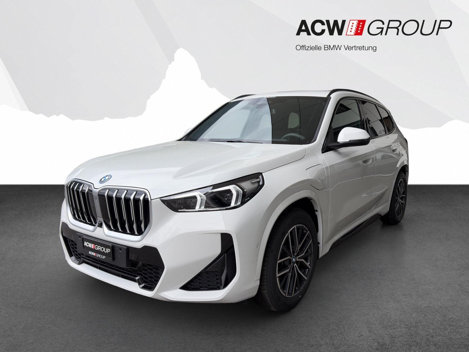 BMW X1 25e